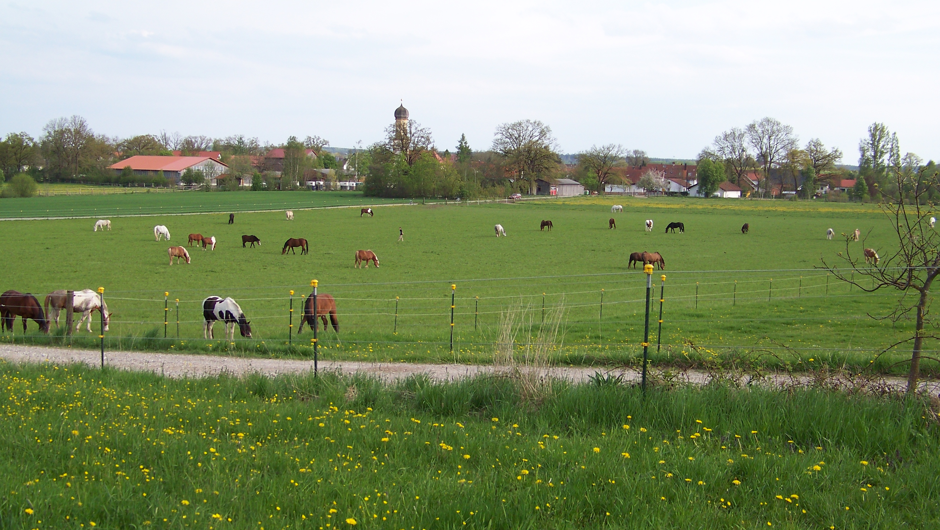 Herzlich Willkommen